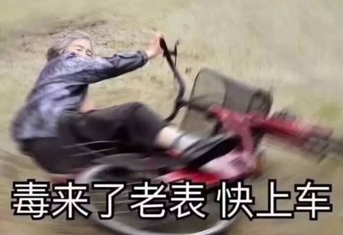 (你有本事就杀死我)当我说‘有本事你弄死我’时，你敢不敢用表情包来回应我？